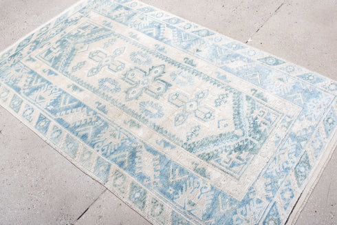 Antique Anatol Area Rug (3' x 6')